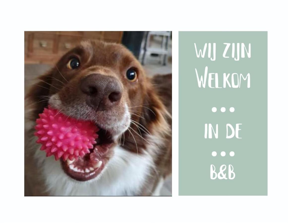 B&B Het Gelders Buitenleven Overasselt Exteriör bild