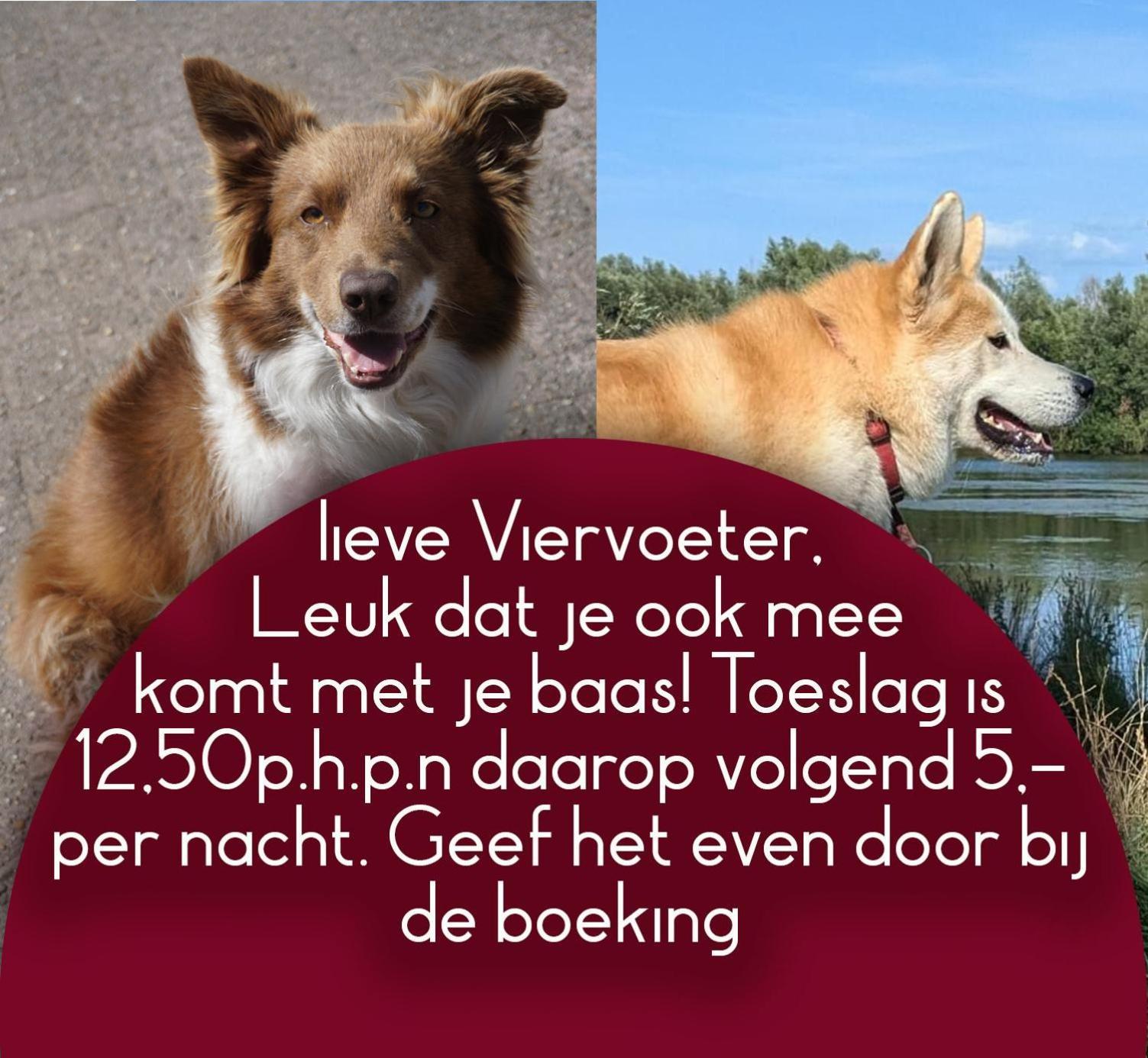 B&B Het Gelders Buitenleven Overasselt Exteriör bild